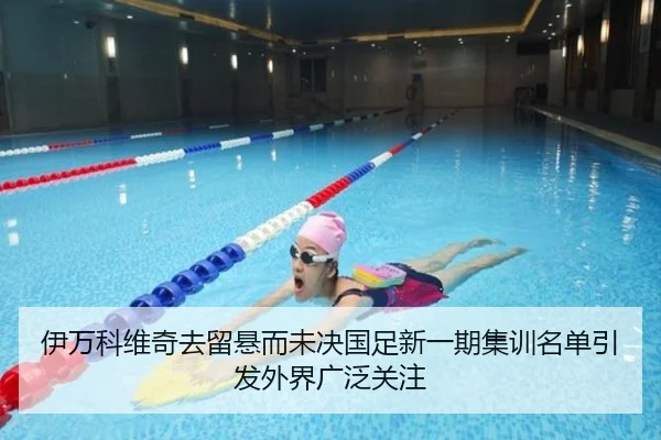 伊万科维奇去留悬而未决国足新一期集训名单引发外界广泛关注